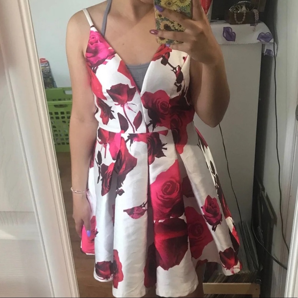 Agaci Rose Dress
